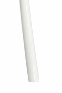 Hog Whip Blank - White